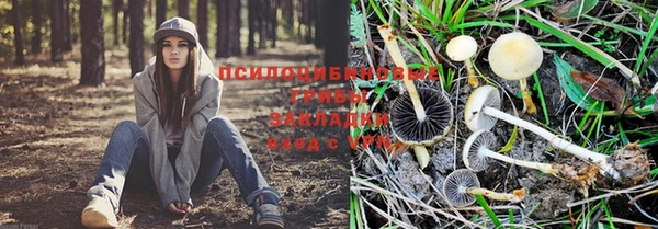 дурь Арсеньев