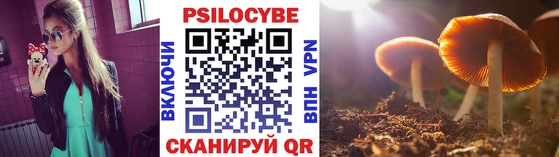 Галлюциногенные грибы Psilocybine cubensis  shop клад  Сольвычегодск 